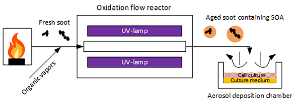 Secondary organic aerosol (SOA), illustration